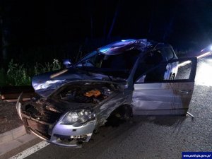 Zderzenie auta osobowego z łosiem