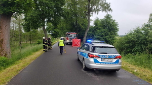 Policjanci i strażacy podczas zabezpieczenia miejsca wypadku