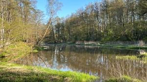 jezioro
